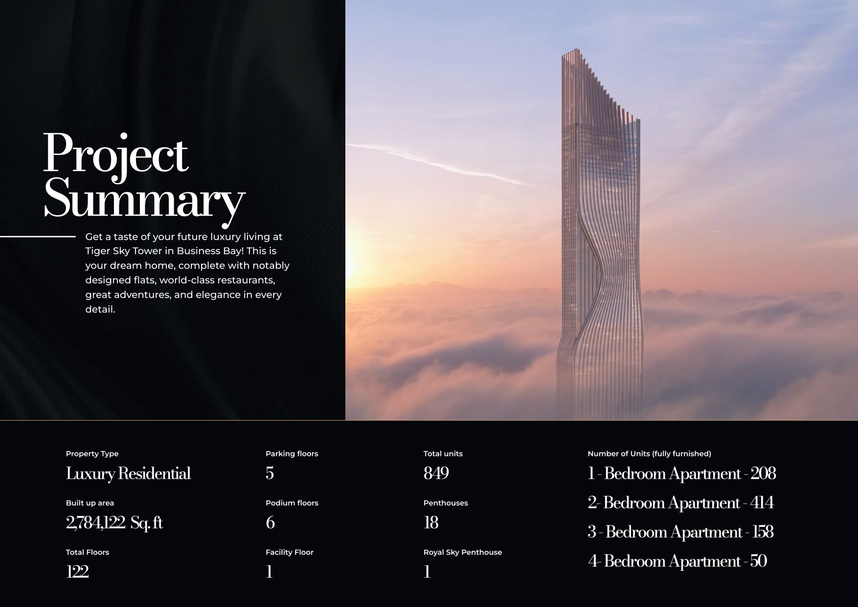 New homes project Tiger Sky Tower