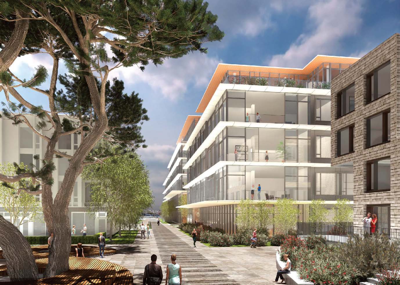 New homes project 3333 california